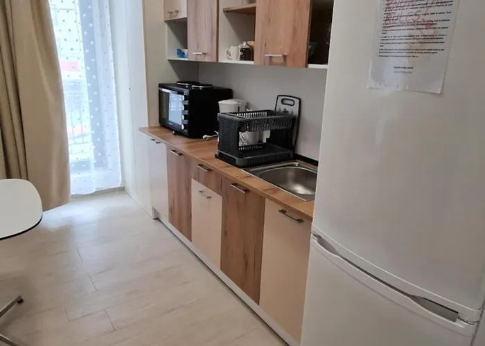 Jafar 4 Апартаменты Тимишоара